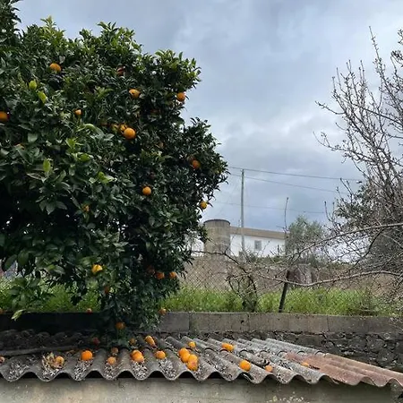 Casa Da Celeste Feriehus *