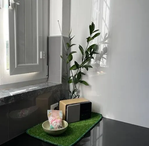 Semesterbostad Casa Da Celeste