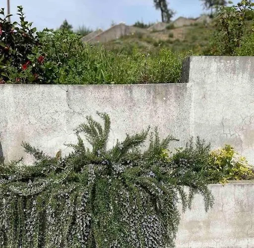 Semesterbostad Casa Da Celeste